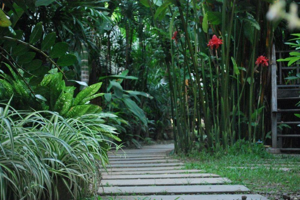 Breeze of Pai Pensión Exterior foto