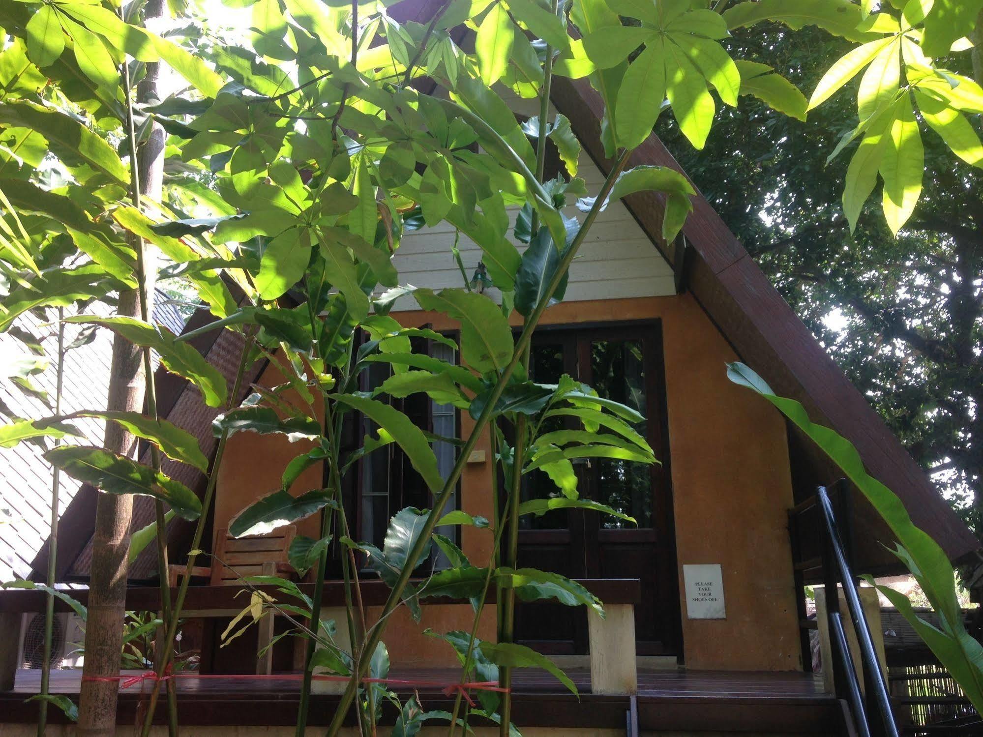 Breeze of Pai Pensión Exterior foto